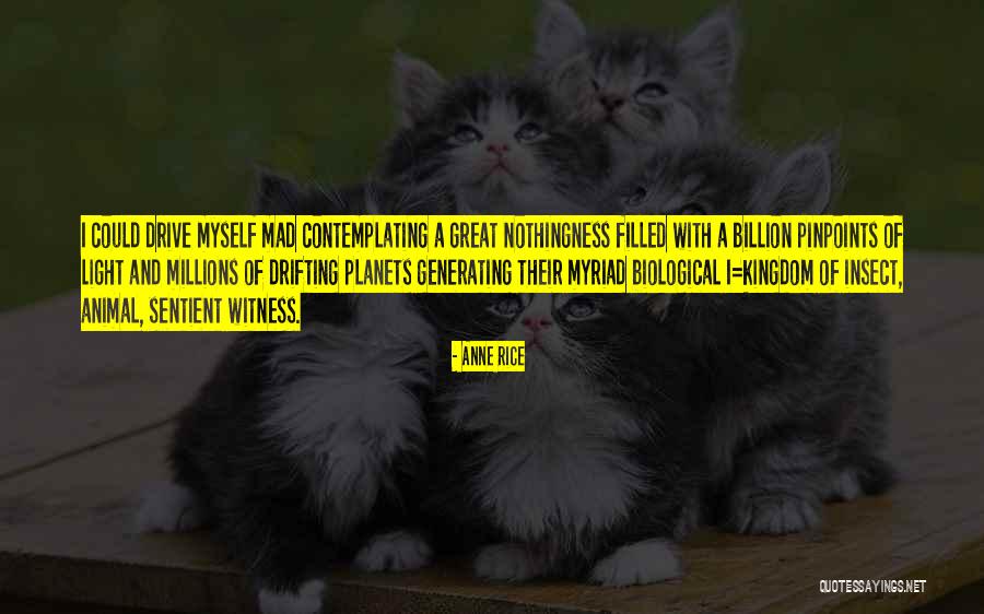 Mazoo And The Zoo Quotes By Anne Rice Mazoo And The Zoo Quotes By Anne Rice