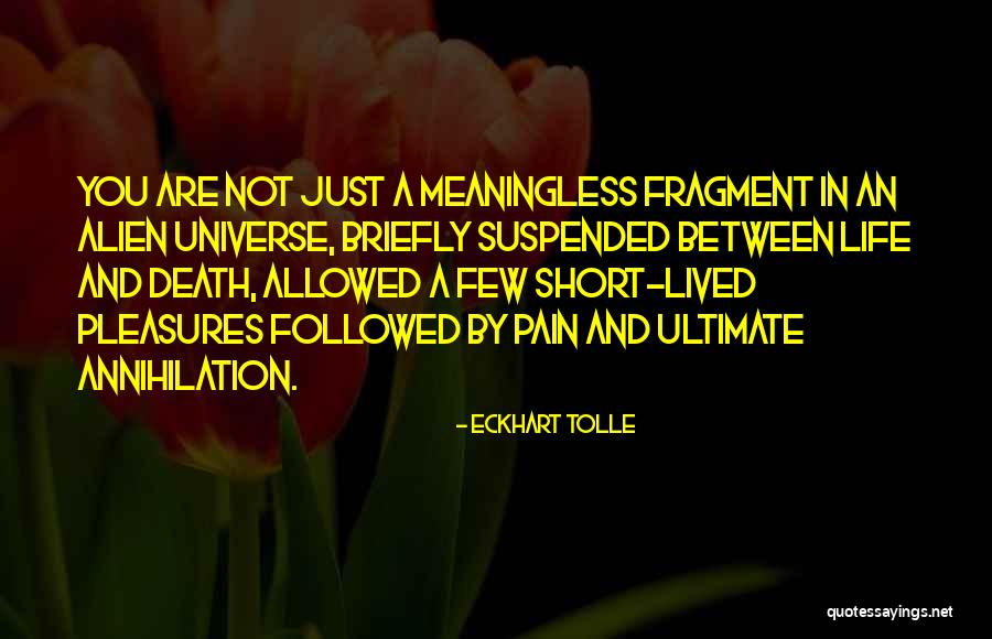 Mazuri Waterfowl Quotes By Eckhart Tolle Mazuri Waterfowl Quotes By Eckhart Tolle