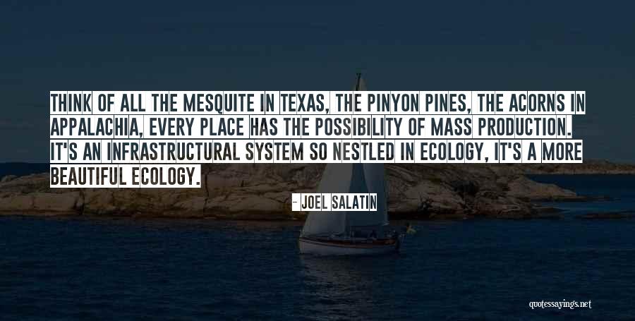 Mazzulla Raptor Quotes By Joel Salatin Mazzulla Raptor Quotes By Joel Salatin