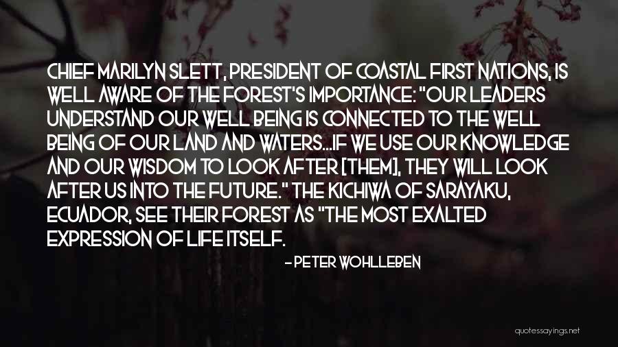 Mbase Drame Quotes By Peter Wohlleben Mbase Drame Quotes By Peter Wohlleben