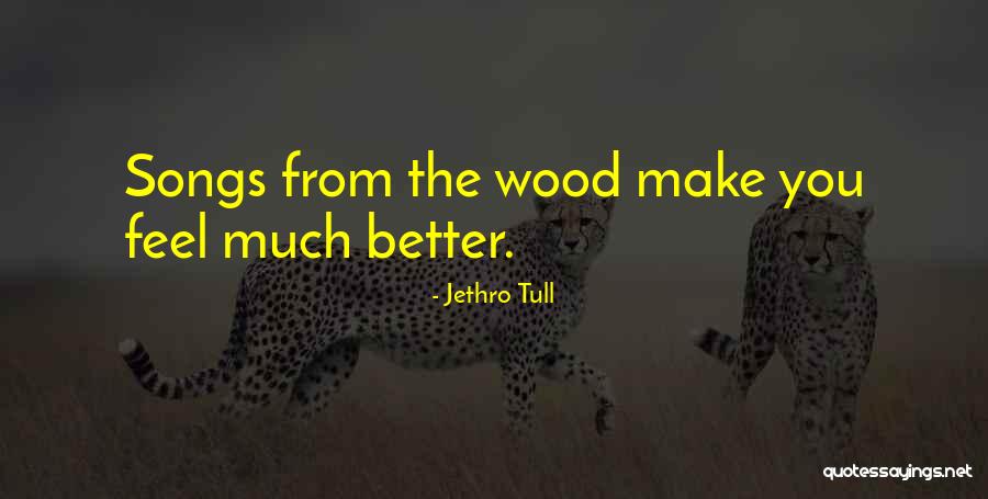 Mbeleni Data Solutions Quotes By Jethro Tull