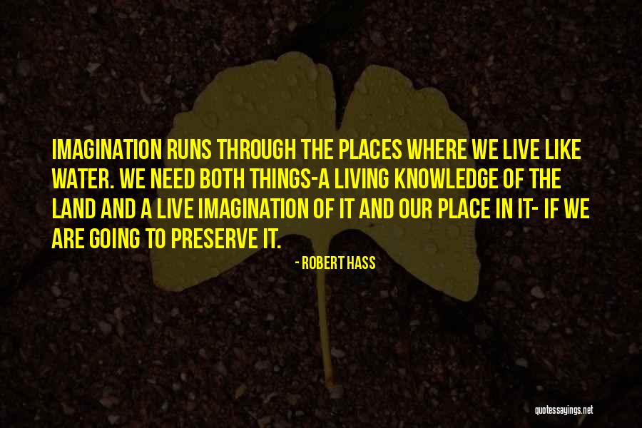 Mbmbam Horse Quotes By Robert Hass Mbmbam Horse Quotes By Robert Hass