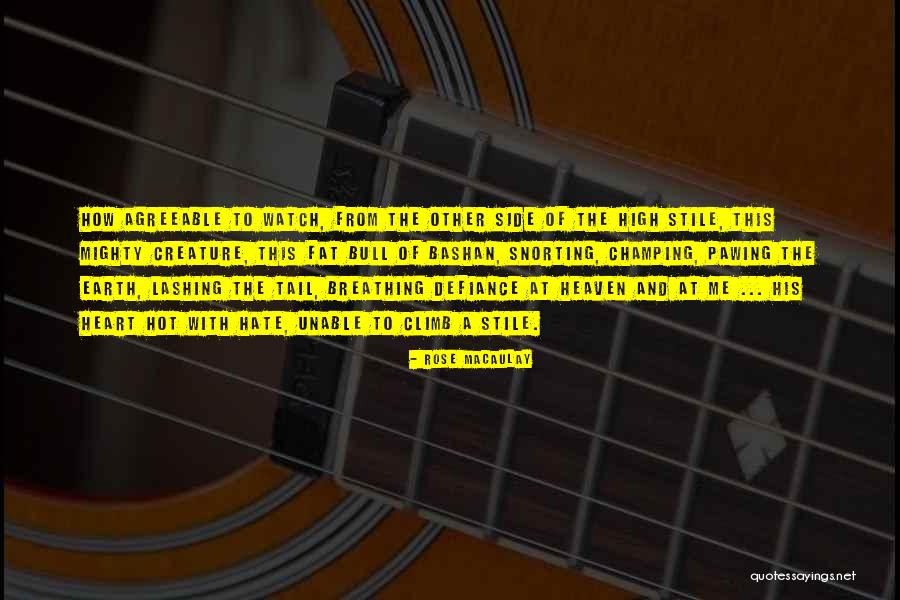 Mbogi Geje Quotes By Rose Macaulay Mbogi Geje Quotes By Rose Macaulay