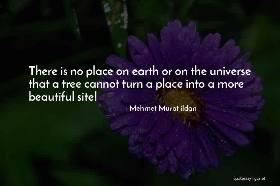 Mburu Kiereini Quotes By Mehmet Murat Ildan Mburu Kiereini Quotes By Mehmet Murat Ildan