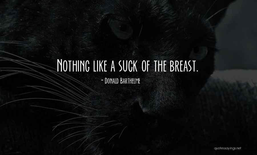 Mbus Quotes By Donald Barthelme Mbus Quotes By Donald Barthelme