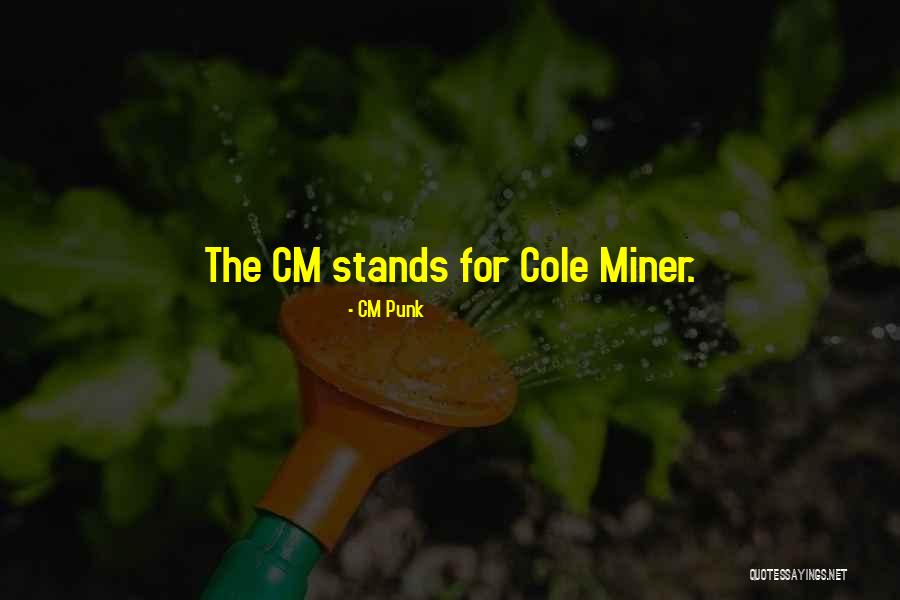 Mbushja E Quotes By CM Punk Mbushja E Quotes By CM Punk