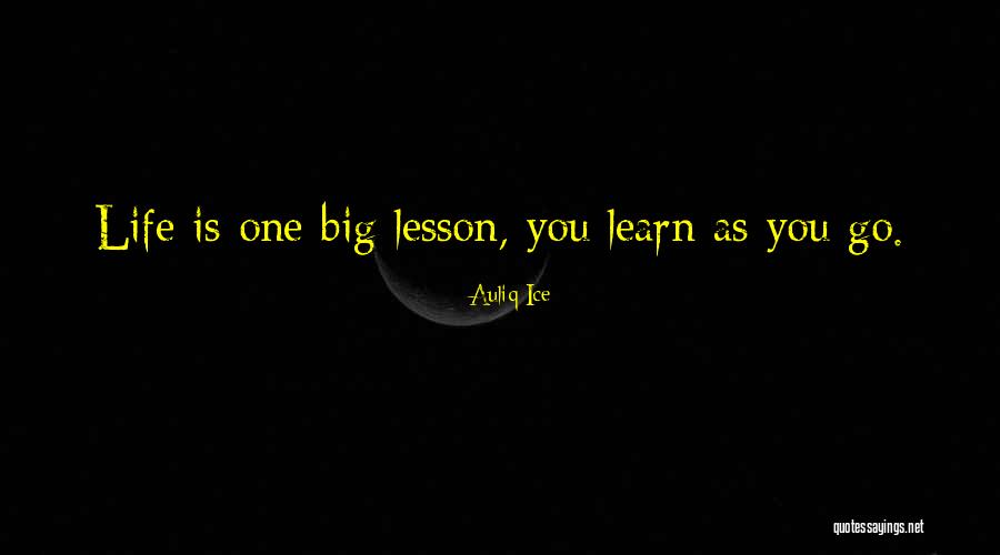 Mcafees Quotes By Auliq Ice Mcafees Quotes By Auliq Ice