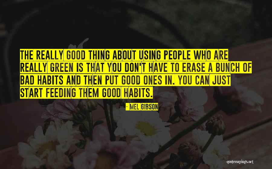 Mcalarney Lourdes Quotes By Mel Gibson Mcalarney Lourdes Quotes By Mel Gibson