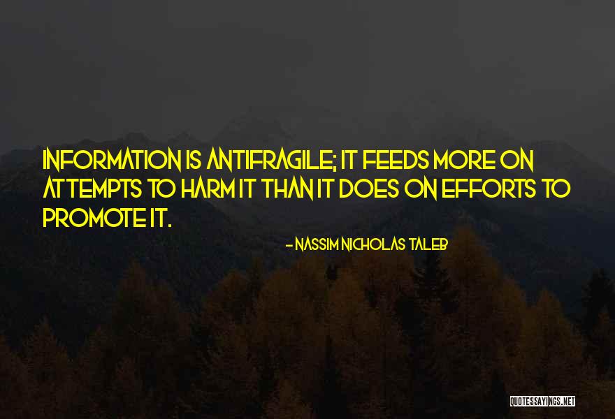 Mcalexander Engineering Quotes By Nassim Nicholas Taleb Mcalexander Engineering Quotes By Nassim Nicholas Taleb