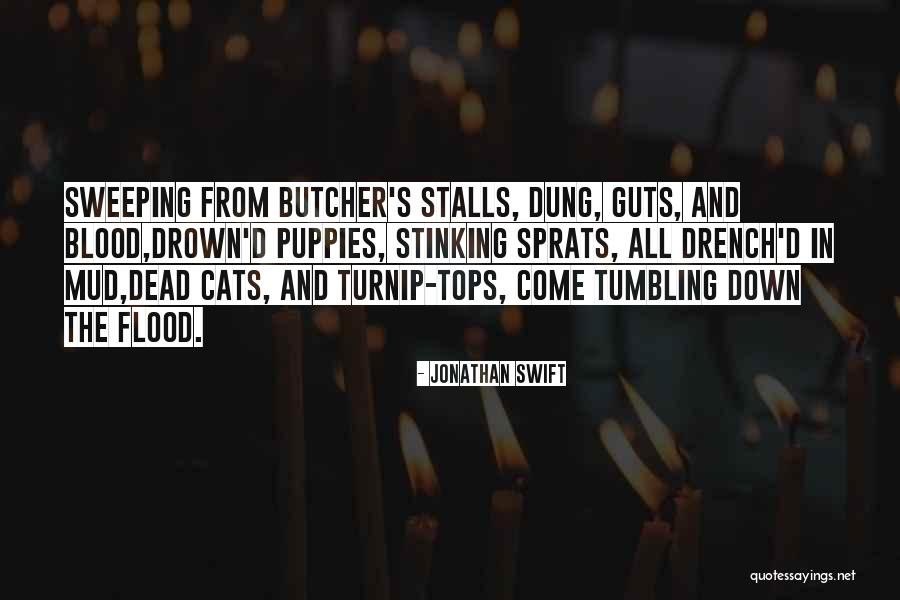 Mcallisters Bradenton Quotes By Jonathan Swift Mcallisters Bradenton Quotes By Jonathan Swift
