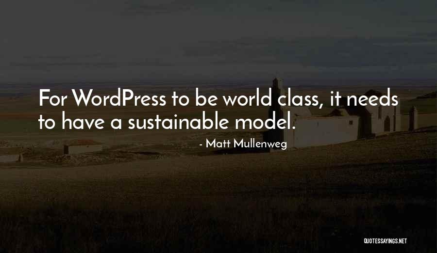 Mcato Quotes By Matt Mullenweg Mcato Quotes By Matt Mullenweg