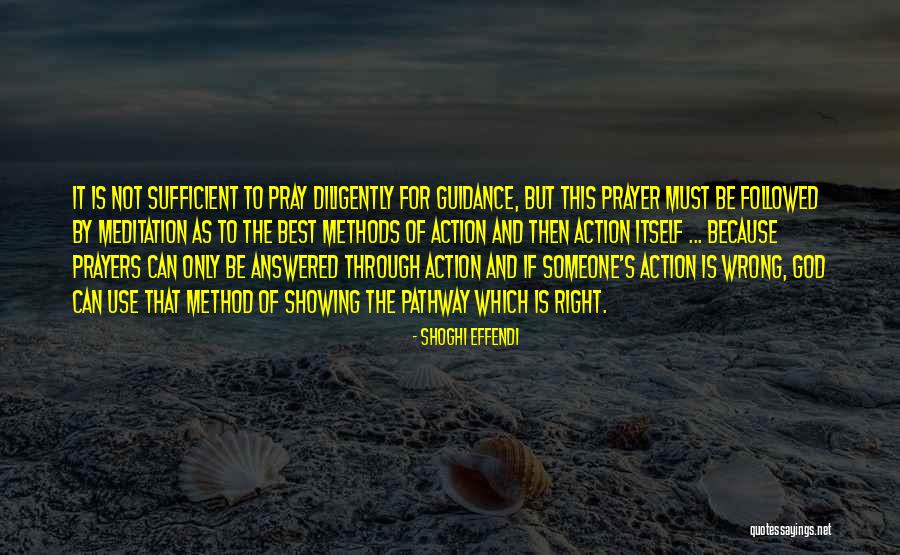 Mcauliffes Valley Quotes By Shoghi Effendi Mcauliffes Valley Quotes By Shoghi Effendi