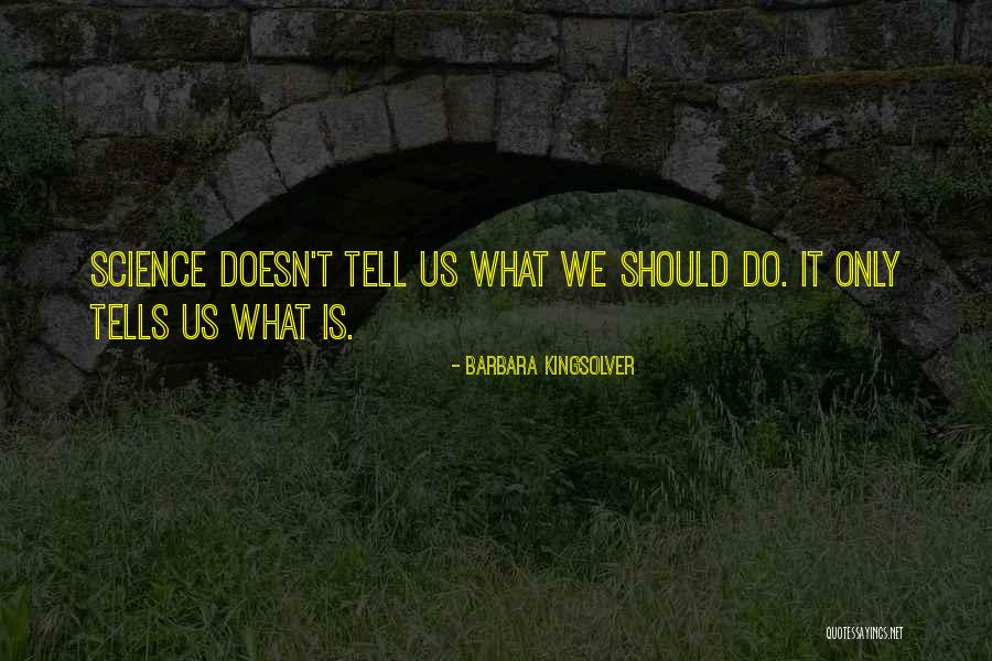 Mccallany Holt Quotes By Barbara Kingsolver Mccallany Holt Quotes By Barbara Kingsolver