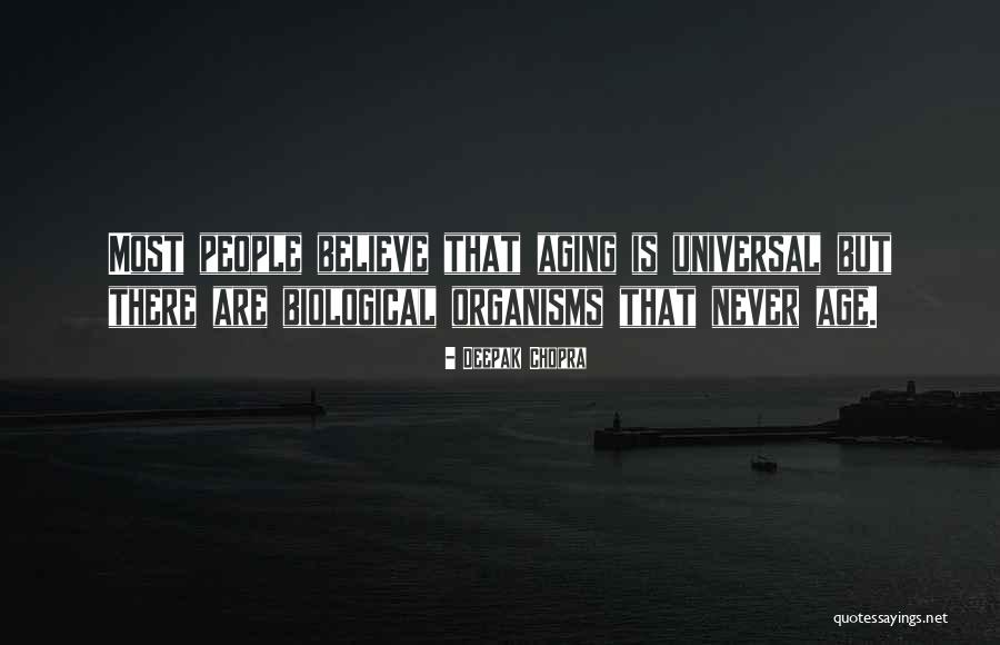 Mccalls Dress Quotes By Deepak Chopra Mccalls Dress Quotes By Deepak Chopra