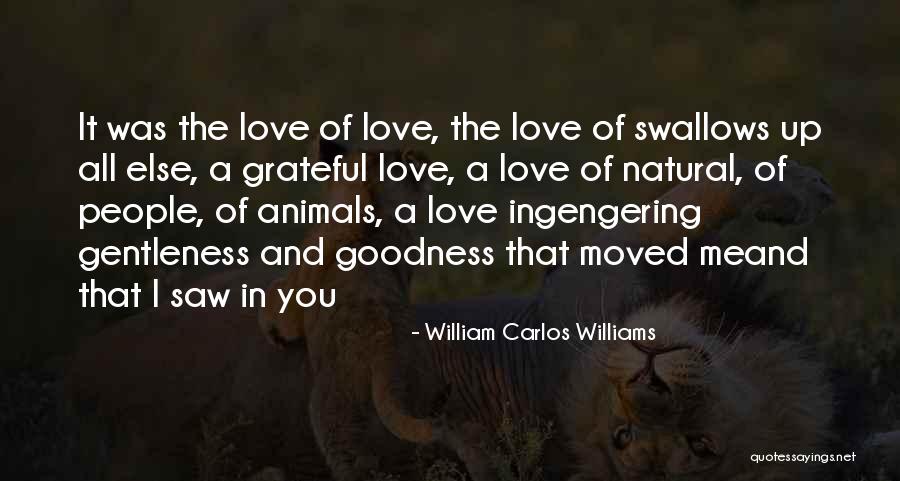 Mccanlies Field Quotes By William Carlos Williams Mccanlies Field Quotes By William Carlos Williams