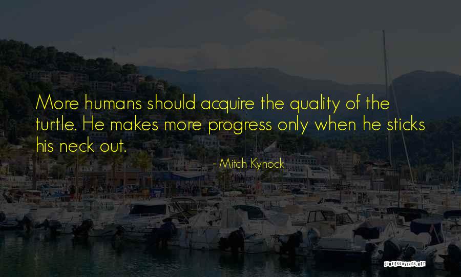 Mccasey Pencil Quotes By Mitch Kynock Mccasey Pencil Quotes By Mitch Kynock