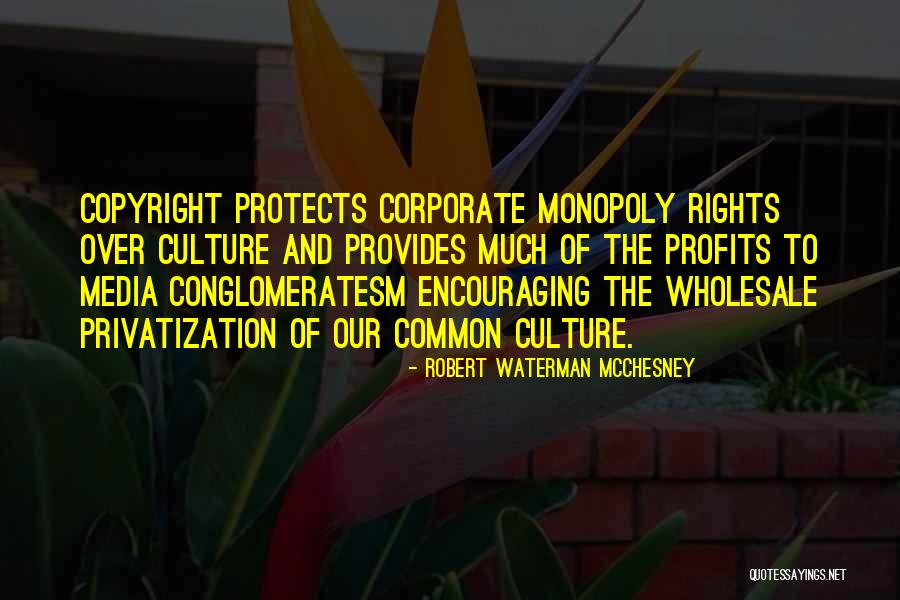 Mcchesney Quotes By Robert Waterman McChesney Mcchesney Quotes By Robert Waterman McChesney