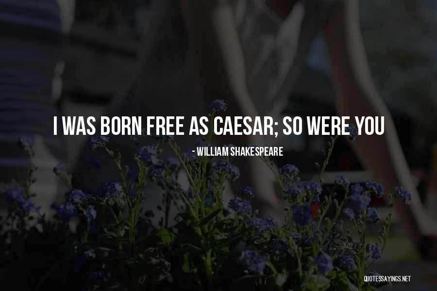 Mccheyne Daily Bible Reading Quotes By William Shakespeare Mccheyne Daily Bible Reading Quotes By William Shakespeare
