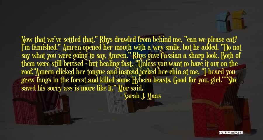 Mcclatchey Poet Quotes By Sarah J. Maas Mcclatchey Poet Quotes By Sarah J. Maas