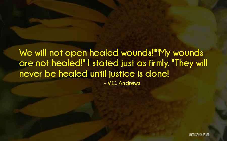 Mcclenaghan Conference Quotes By V.C. Andrews Mcclenaghan Conference Quotes By V.C. Andrews