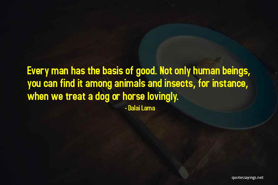 Mccloskey Law Quotes By Dalai Lama