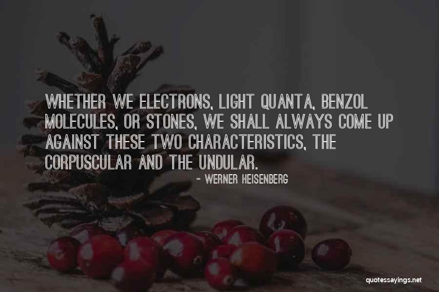 Mccolley Funeral Home Quotes By Werner Heisenberg Mccolley Funeral Home Quotes By Werner Heisenberg
