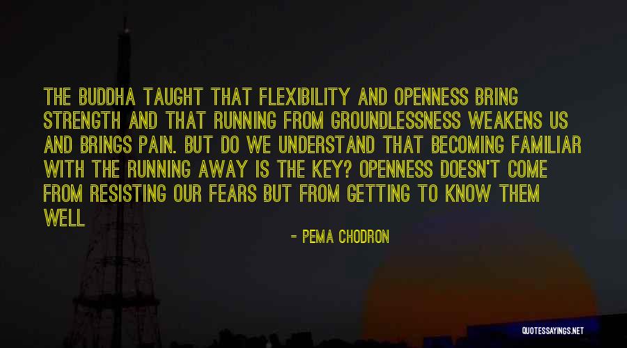 Mccollister Transportation Quotes By Pema Chodron Mccollister Transportation Quotes By Pema Chodron