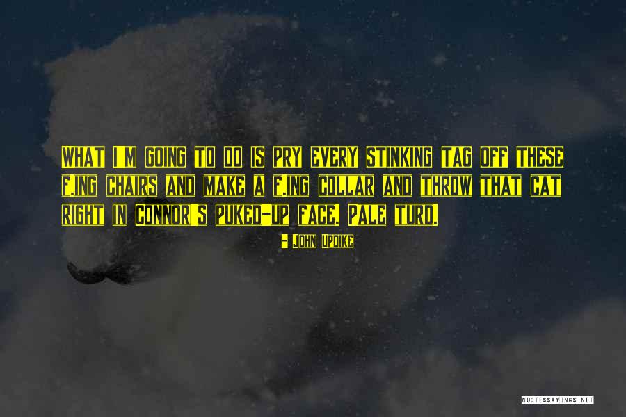 Mccollums Quotes By John Updike Mccollums Quotes By John Updike