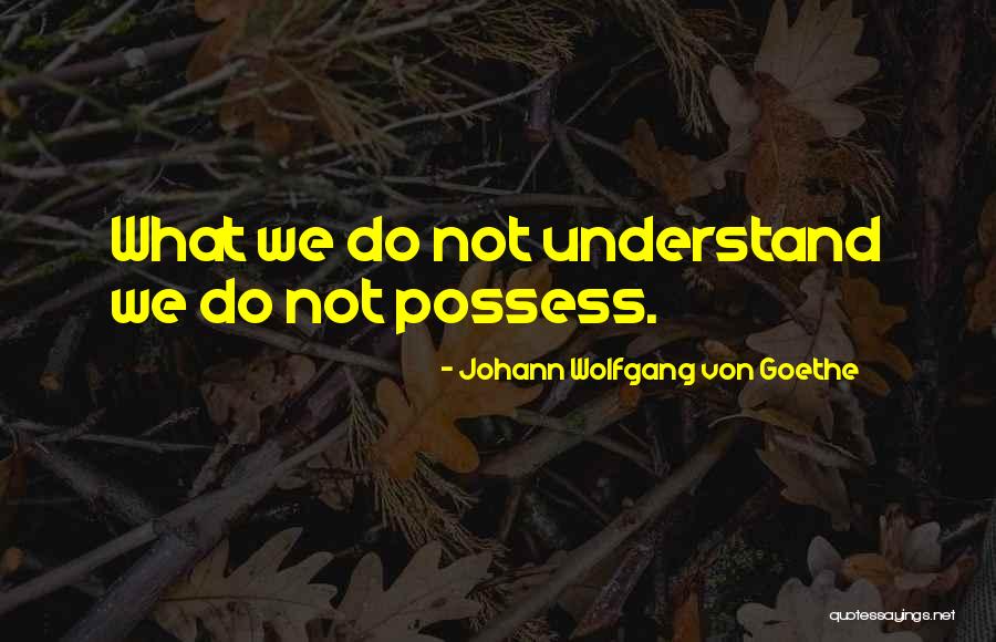 Mcconvilles Quotes By Johann Wolfgang Von Goethe Mcconvilles Quotes By Johann Wolfgang Von Goethe