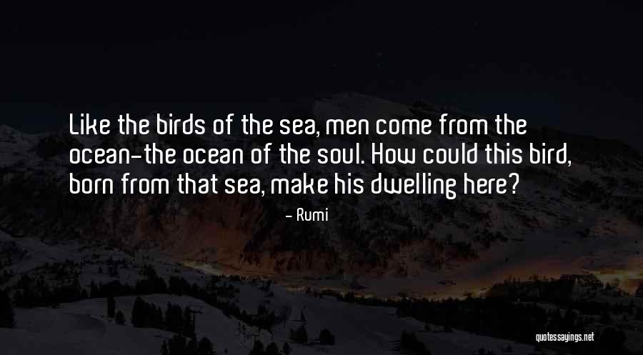 Mccool Quotes By Rumi Mccool Quotes By Rumi