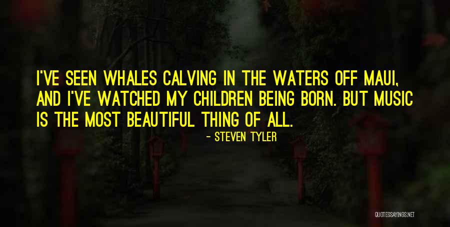 Mccorquodale Mobile Quotes By Steven Tyler Mccorquodale Mobile Quotes By Steven Tyler