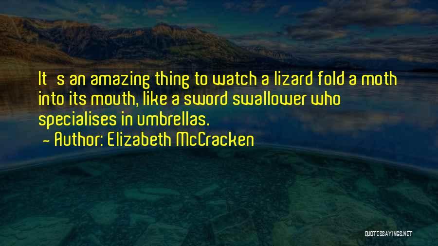 Mccracken Quotes By Elizabeth McCracken