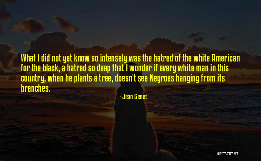 Mccroskey Law Quotes By Jean Genet Mccroskey Law Quotes By Jean Genet