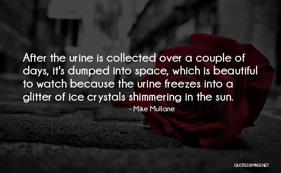 Mccuiston Stonewall Quotes By Mike Mullane Mccuiston Stonewall Quotes By Mike Mullane