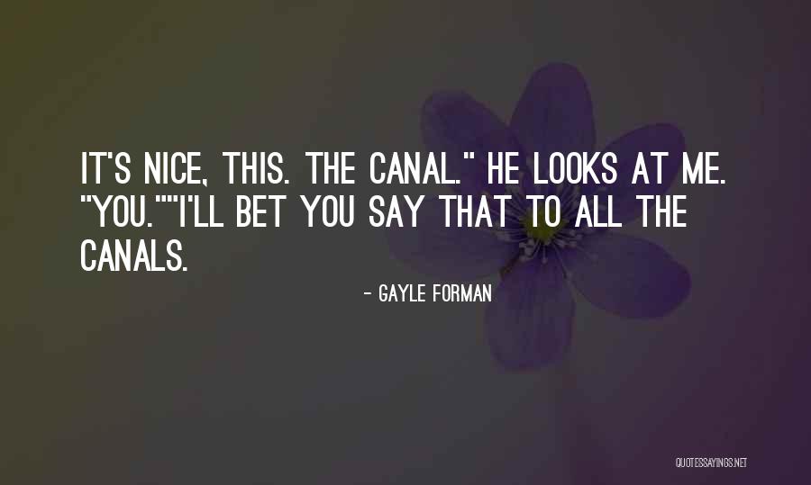 Mcdaid Paintings Quotes By Gayle Forman Mcdaid Paintings Quotes By Gayle Forman