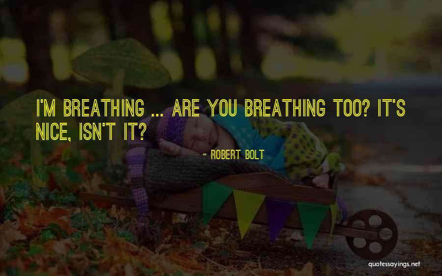 Mcdaniel Vending Quotes By Robert Bolt Mcdaniel Vending Quotes By Robert Bolt