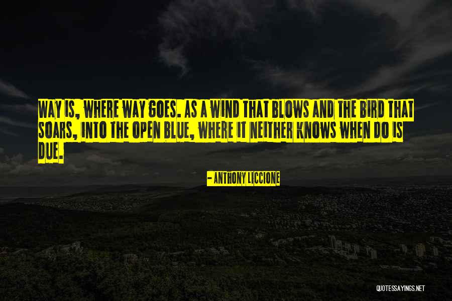 Mcdermed Dr Quotes By Anthony Liccione Mcdermed Dr Quotes By Anthony Liccione