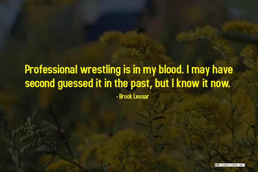 Mcdivitt School Quotes By Brock Lesnar Mcdivitt School Quotes By Brock Lesnar
