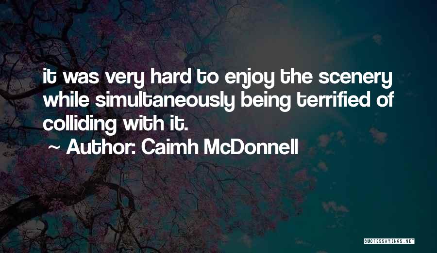 Mcdonnell Quotes By Caimh McDonnell