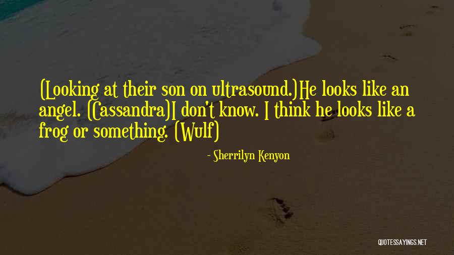 Mcelvain Reunion Quotes By Sherrilyn Kenyon Mcelvain Reunion Quotes By Sherrilyn Kenyon