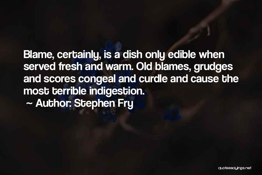 Mcelwee Family History Quotes By Stephen Fry