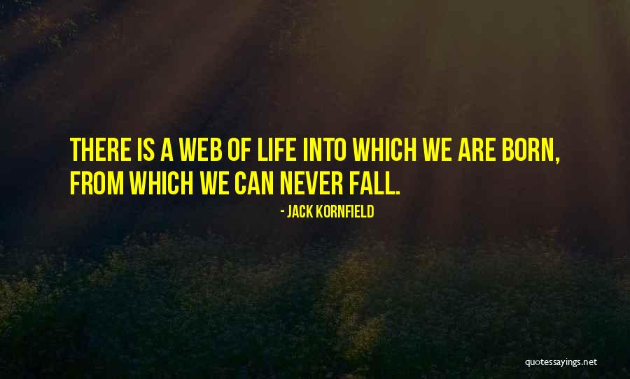 Mceneny White House Quotes By Jack Kornfield Mceneny White House Quotes By Jack Kornfield