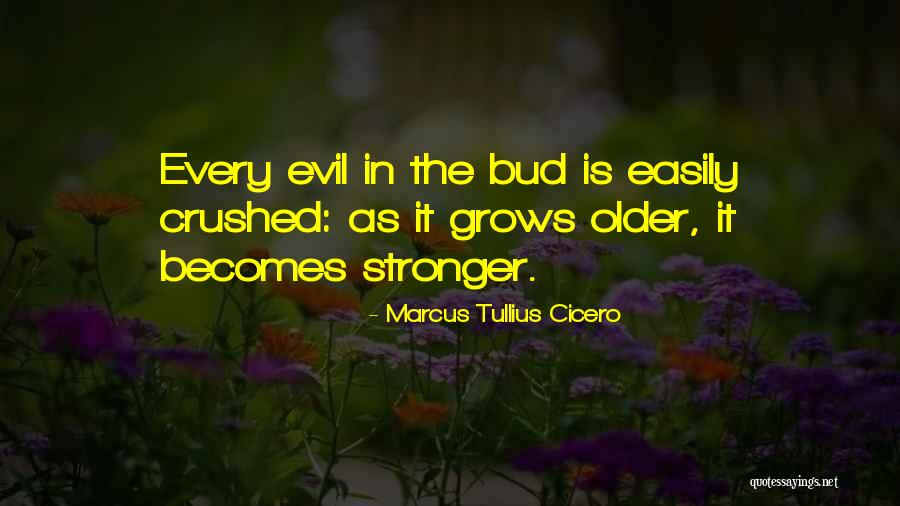 Mcfalls Pool Quotes By Marcus Tullius Cicero Mcfalls Pool Quotes By Marcus Tullius Cicero