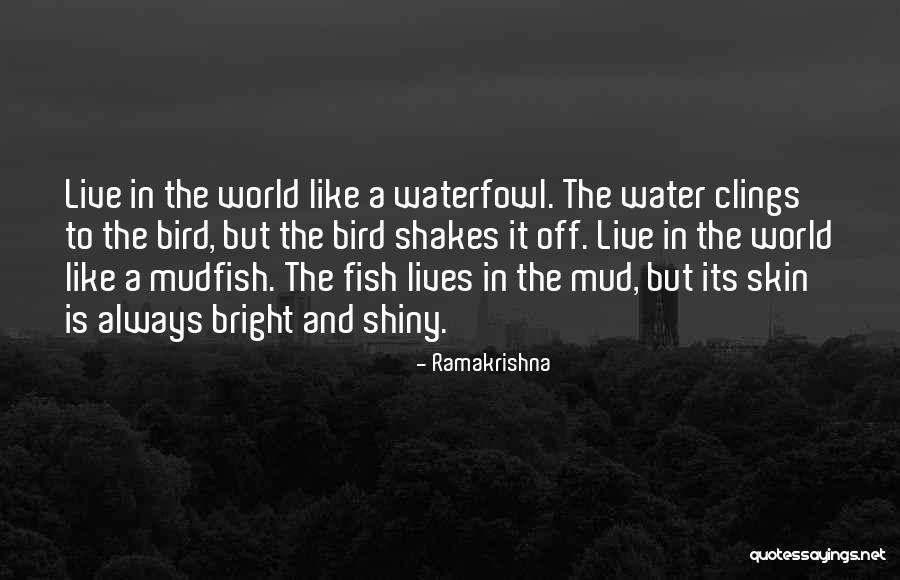 Mcferron Name Quotes By Ramakrishna Mcferron Name Quotes By Ramakrishna