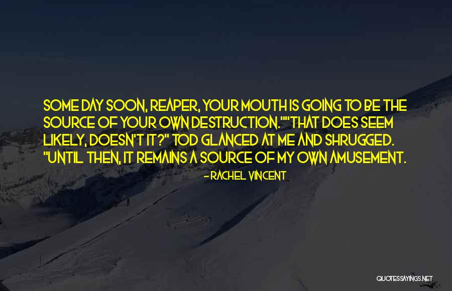 Mcfetridge Ice Quotes By Rachel Vincent Mcfetridge Ice Quotes By Rachel Vincent