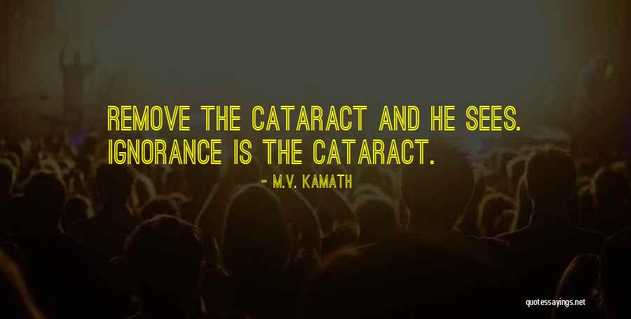 Mcgeeney Sacred Quotes By M.V. Kamath Mcgeeney Sacred Quotes By M.V. Kamath