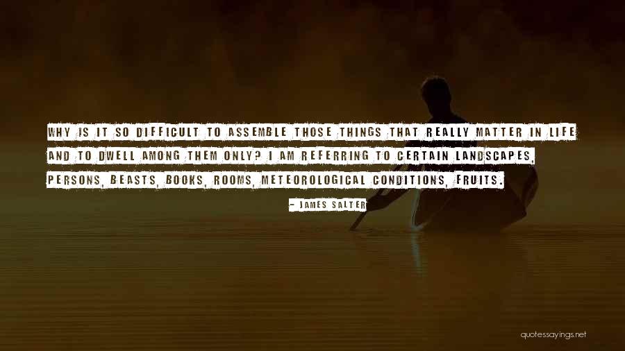 Mcgillicuddy Reeks Quotes By James Salter Mcgillicuddy Reeks Quotes By James Salter