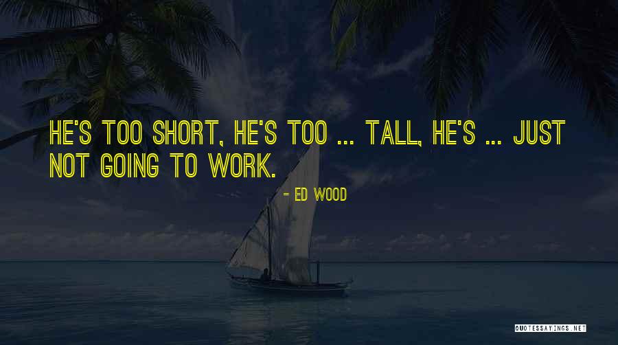 Mcgillis School Quotes By Ed Wood Mcgillis School Quotes By Ed Wood