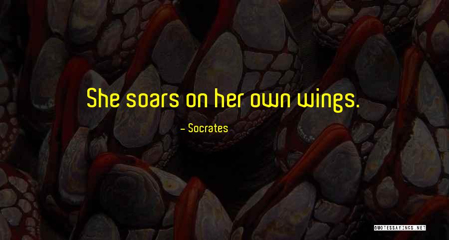 Mcgilvery Law Quotes By Socrates Mcgilvery Law Quotes By Socrates
