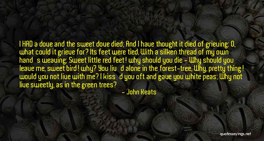 Mcginley Jeep Quotes By John Keats Mcginley Jeep Quotes By John Keats